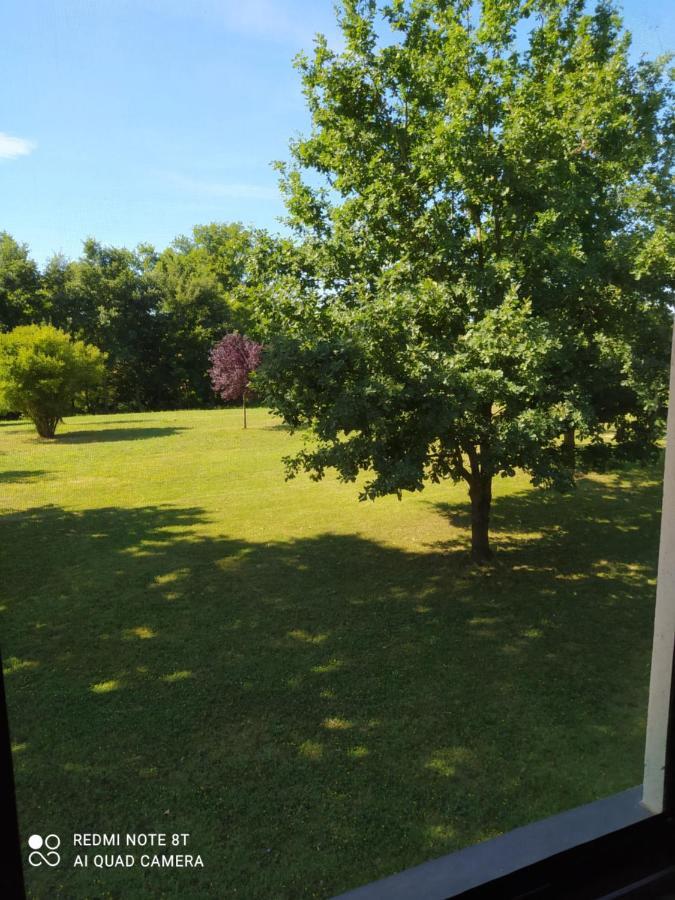 Guest House La Carolina Tigliole Exterior photo